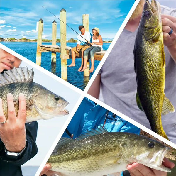 Steel wire fishing leader bundle shown with fish photos in a promotional collage