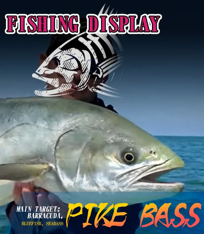 Hunthouse swimbait lure fishing display with striped bass illustration