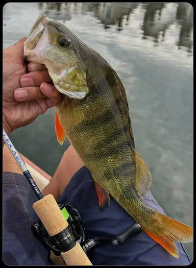 Fishing rod with cork grip beside a caught fish held near the water