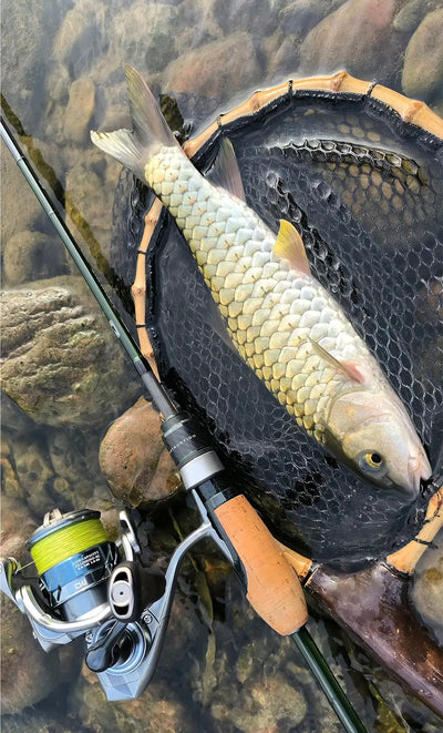 Ultralight spinning reel mounted on rod with green line spool beside fish net