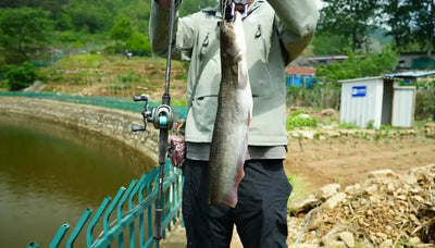 Kingdom Fortitude Keel Pro Carbon Fishing Rod