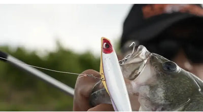 White/red-eye fishing lure with treble hook near a caught fish