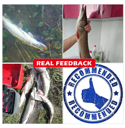 Soft plastic paddle tail minnow shown in real fishing feedback promotional collage