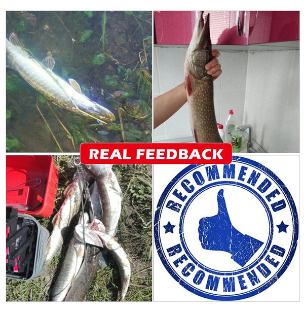 Soft plastic paddle tail minnow shown in real fishing feedback promotional collage
