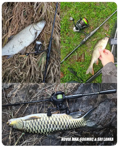 Purelure NDVIA MAX Ajing & Eging Rod – Tubular Tip | Spinning & Casting | 6'0" to 8'6"