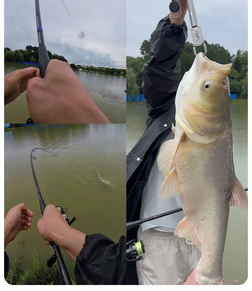 Spinning fishing rod in use with a large pale fish held at the water’s edge