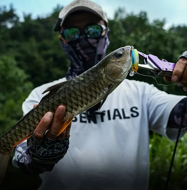 Fishing lure attached to bass: black-and-gold micro fish scales crankbait with clear lip