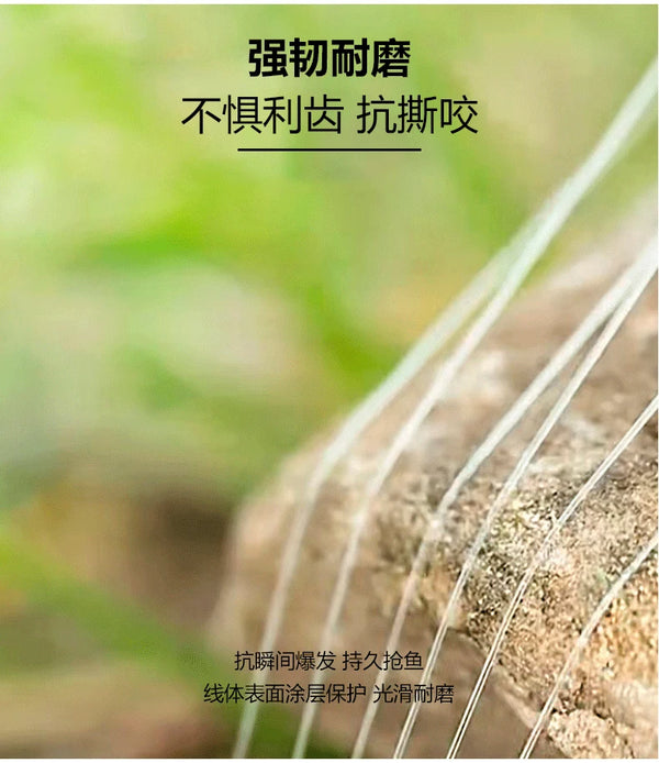 Fishing line bundle shown as clear strands over natural ground background