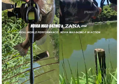 Purelure NDVIA MAX Ajing & Eging Rod – Tubular Tip | Spinning & Casting | 6'0" to 8'6"
