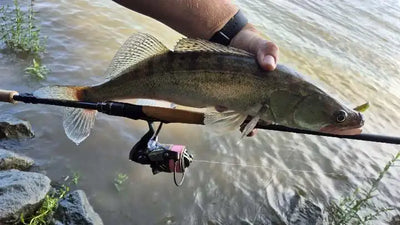 Spinning reel attached to fishing rod over water, with a fish on the line