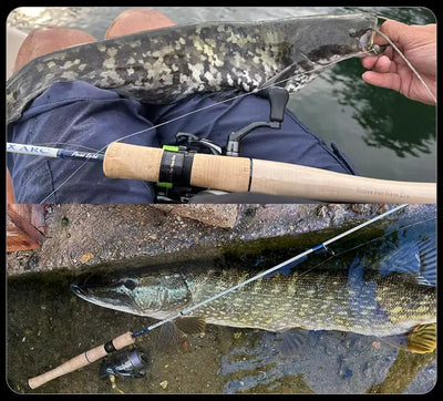 Fishing rods with cork grips and reels beside caught fish on the boat deck