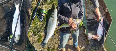 Inshore fishing rods held by anglers during fishing near nets and a catch.