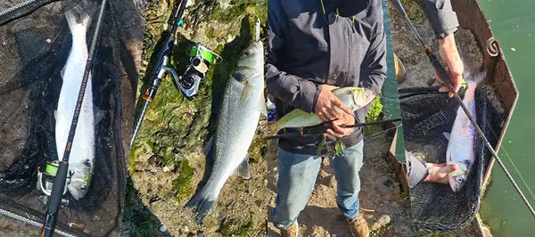 Inshore fishing rods held by anglers during fishing near nets and a catch.
