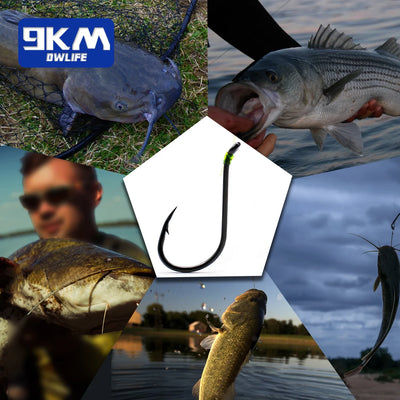 Offset Circle Hook Kit – High Carbon Steel | Mixed Sizes | 100–250pc | Bream Snapper