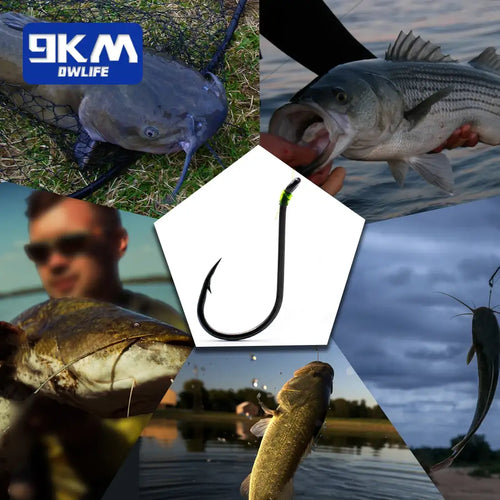 Offset circle fishing hook shown with assorted tackle on promotional collage