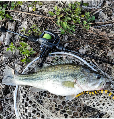 Light game fishing reel and rod beside trout in landing net on rocky streambed