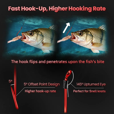 Two red offset circle fishing hooks, shown with an upturned eye