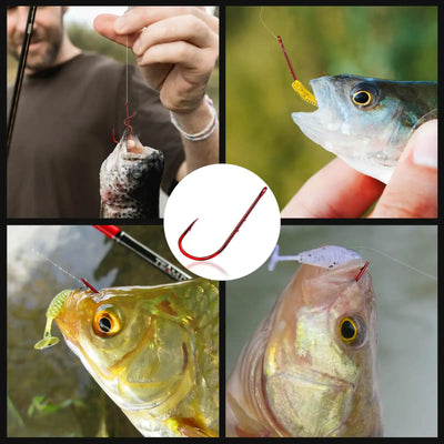 Red baitholder fishing hook shown with baited catch for saltwater fishing
