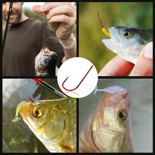Red baitholder fishing hook shown with baited catch for saltwater fishing