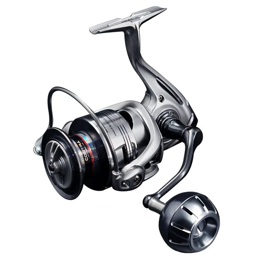 Spinning fishing reel angled view with silver spool and black handle, front drag knob