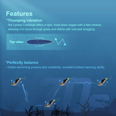 Lipless crankbait illustration with top-view shape and motion vibration wave graphic