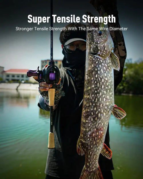 Purple fishing line on fishing rod with caught fish visible