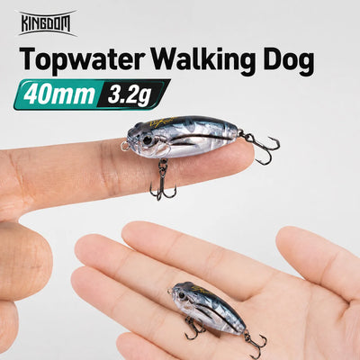Floating pencil topwater fishing lure, metallic black-silver finish with treble hooks in hand