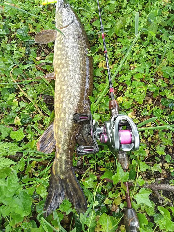 Micro baitcasting reel mounted on fishing rod with a purple spool