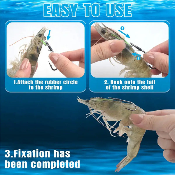 Live shrimp double hook with rubber ring attachment for securing shrimp bait