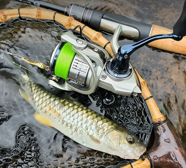 Green braided fishing line on spinning reel beside in-water fish