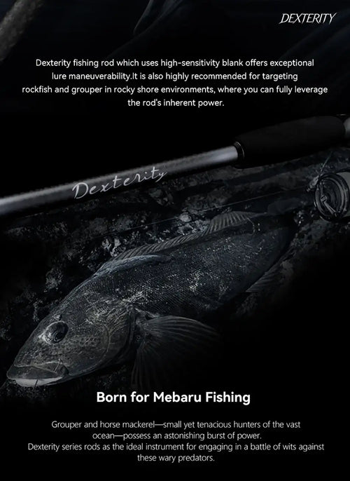 Graphite spinning rod with black handle and reel seat, shown with guides visible