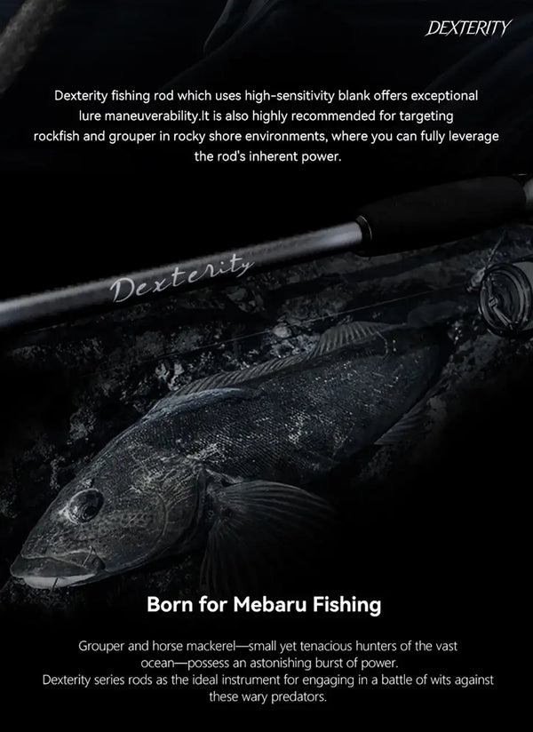 Graphite spinning rod with black handle and reel seat, shown with guides visible
