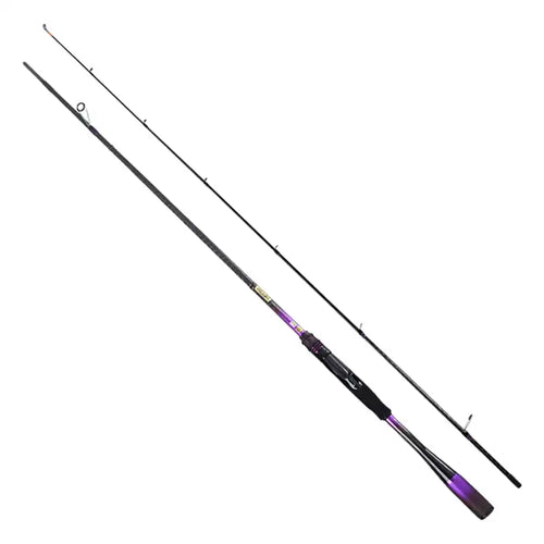 Spinning fishing rod pair with dark blank and purple-accent handle area