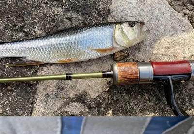 Silver-blue spoon lure with hook, caught on fishing line near a fish.