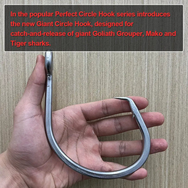 Stainless steel circle hook held in hand, long curved shank with ring eye