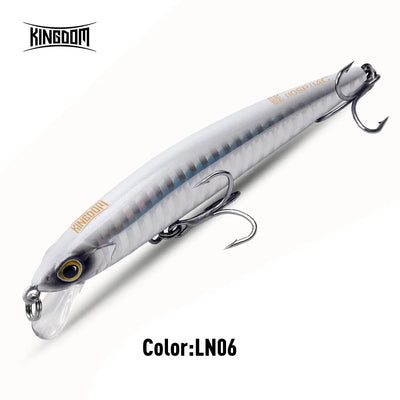 Minnow lure in silver-white with blue stripes, gold eye, and treble hooks, Color: LN06