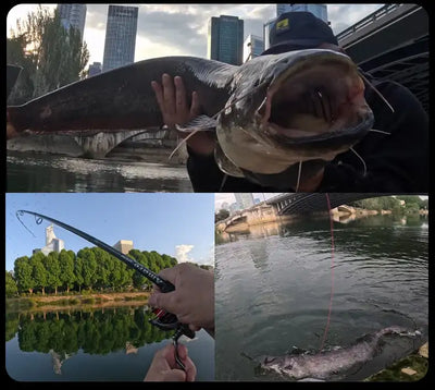 Fishing rod held over water with line and guides visible