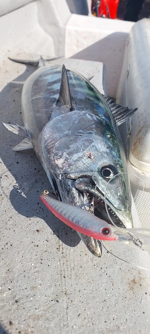 Trolling minnow lure on a caught fish on deck, with treble hook visible
