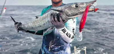 Fish with a red and silver trolling minnow lure in its mouth, treble hooks