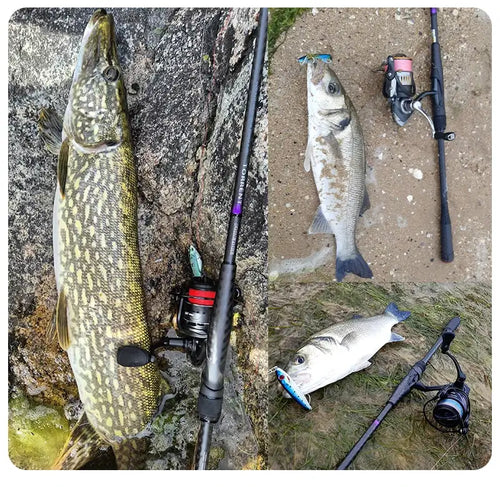 Fishing rod with casting reel on the ground, beside three caught fish