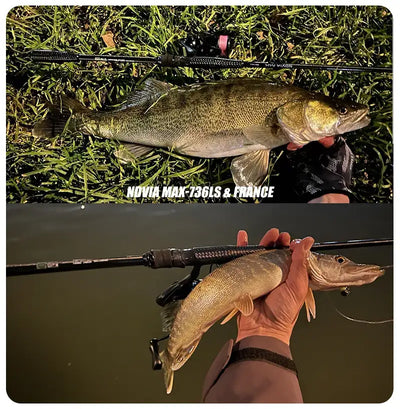 Purelure NDVIA MAX Ajing & Eging Rod – Tubular Tip | Spinning & Casting | 6'0" to 8'6"