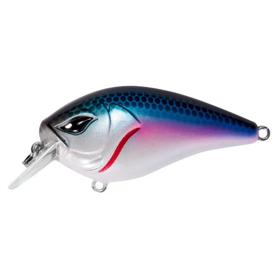 Silver-blue crankbait lure with rainbow tint, pink-red gill line, and black eye