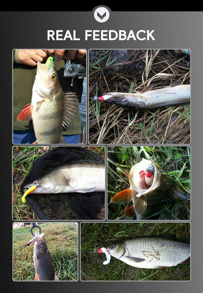 Paddle tail swimbait shown with fish catch in multiple outdoor scenes.