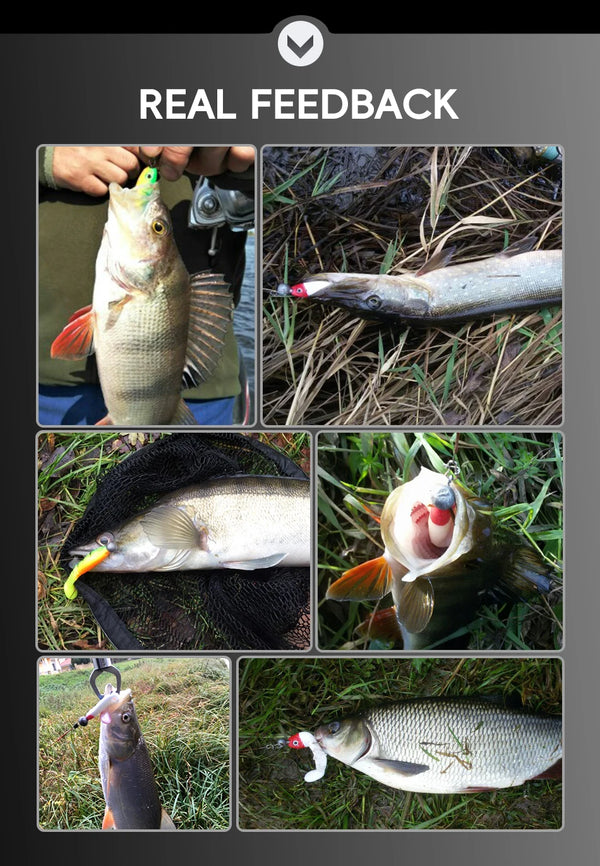 Paddle tail swimbait shown with fish catch in multiple outdoor scenes.