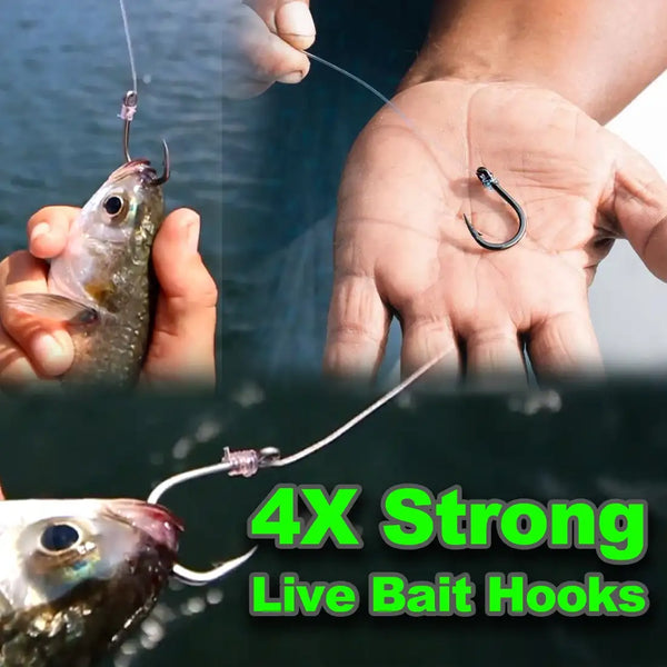Live bait hooks on lines shown with caught fish in an outdoor fishing scene
