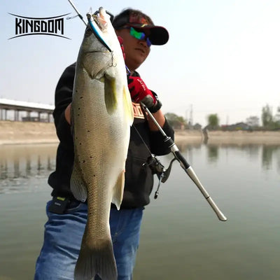 Kingdom Silver Needle II Fast-Action Fishing Rod | 2-Piece