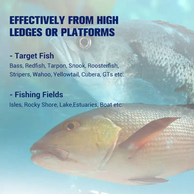 Infographic for sinking stickbait lure fishing from high ledges and platforms