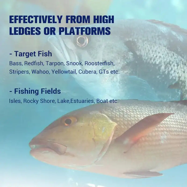 Infographic for sinking stickbait lure fishing from high ledges and platforms