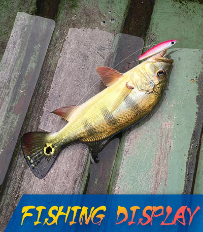 Pencil topwater lure with hooks, caught fish on dock surface