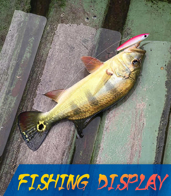 Pencil topwater lure with hooks, caught fish on dock surface